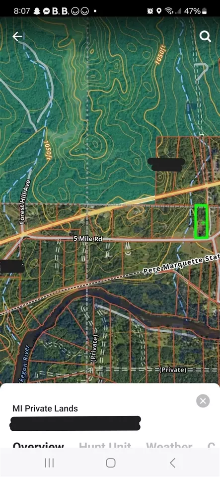 12622 5 Mile Rd, Evart, MI 49631 photo 14