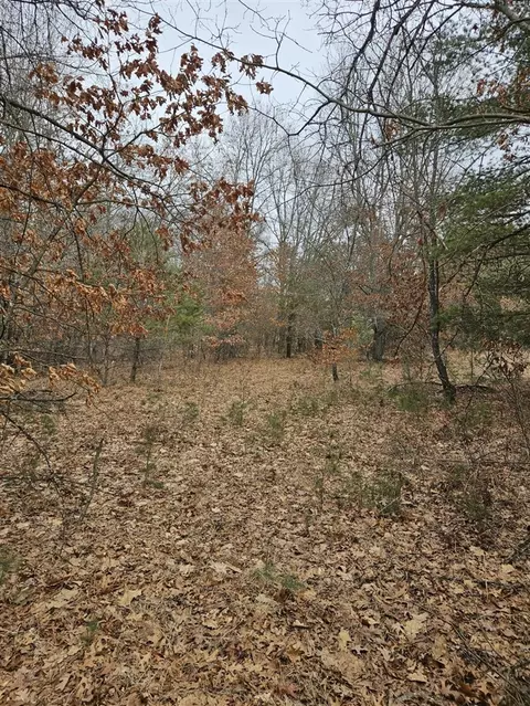 12622 5 Mile Rd, Evart, MI 49631 photo 10