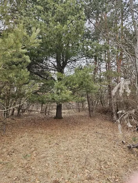 12622 5 Mile Rd, Evart, MI 49631 photo 8