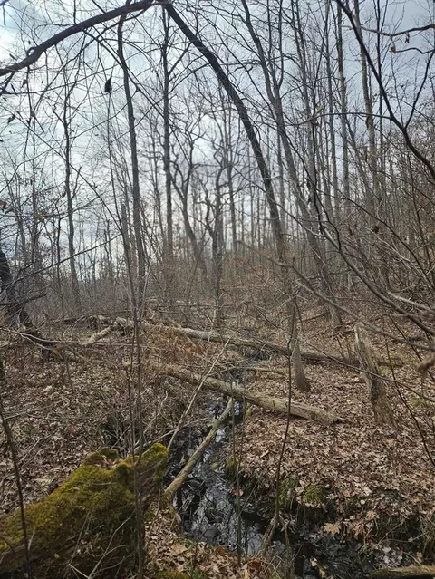 12622 5 Mile Rd, Evart, MI 49631 photo 7