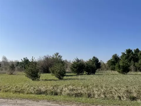 N Wyman, Edmore, MI 48829 photo 3