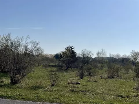 N Wyman, Edmore, MI 48829 photo 5