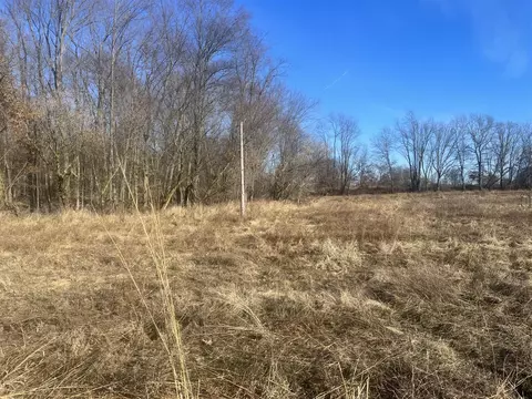 L, Marshall, MI 49068 photo 9