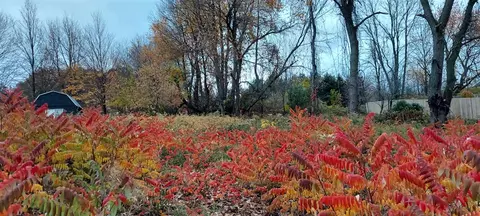 lot215 E Shr, Stanton, MI 48888