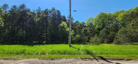 Parcel A 5 Acres Cherry, Manistee, MI 49660