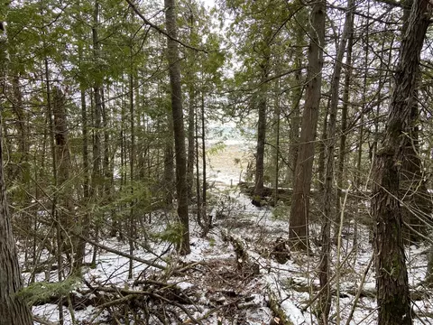 V/l Raven Dr, Ocqueoc, MI 49759 photo 13