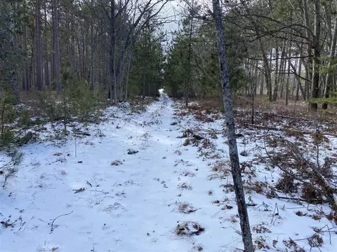 V/l Raven Dr, Ocqueoc, MI 49759 photo 20