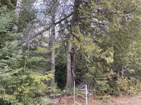 V/l Raven Dr, Ocqueoc, MI 49759 photo 15