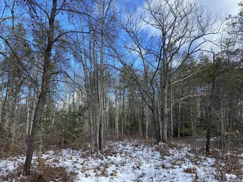 V/l Raven Dr, Ocqueoc, MI 49759 photo 24