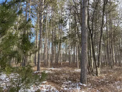 V/l Raven Dr, Ocqueoc, MI 49759 photo 18