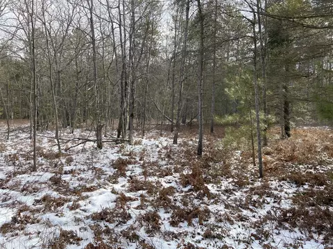 V/l Raven Dr, Ocqueoc, MI 49759 photo 22