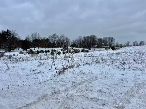 0 E M 20 #5 ACRES, Shelby, MI 49455
