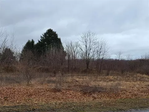 1117 66th, Fennville, MI 49408