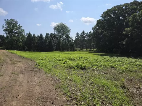 Exterior - 11497 S Woodruff, Blanchard, MI 49310 photo 15 of 16