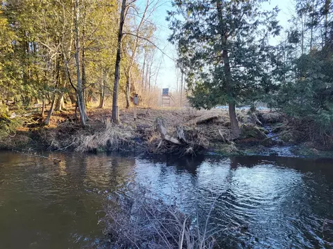 View/Area - 11497 S Woodruff, Blanchard, MI 49310 photo 17 of 20
