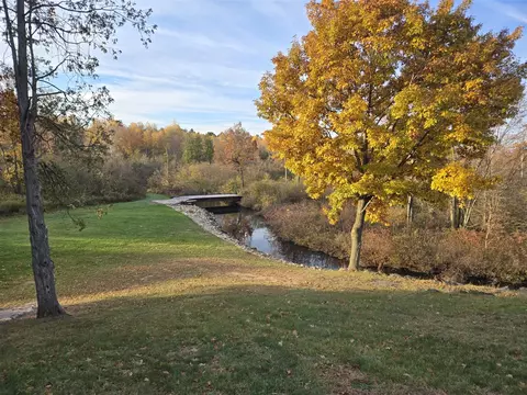 View/Area - 11497 S Woodruff, Blanchard, MI 49310 photo 11 of 20