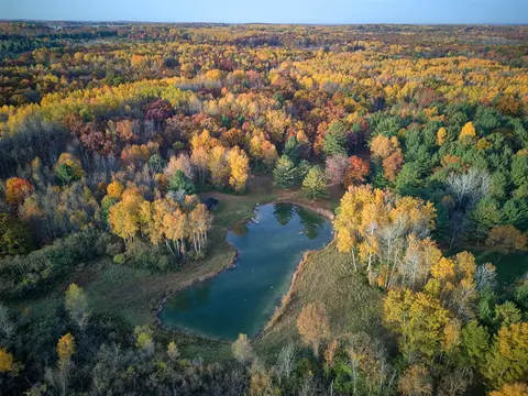View/Area - 11497 S Woodruff, Blanchard, MI 49310 photo 16 of 20