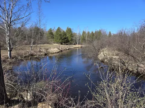 View/Area - 11497 S Woodruff, Blanchard, MI 49310 photo 19 of 20
