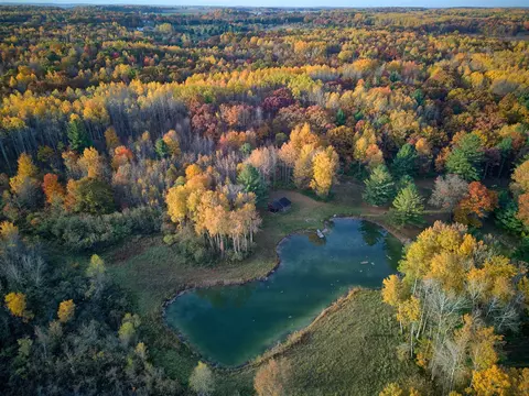 Other - 11497 S Woodruff, Blanchard, MI 49310 photo 13 of 16