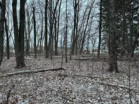 0000 Lyon Lk, Marshall, MI 49068