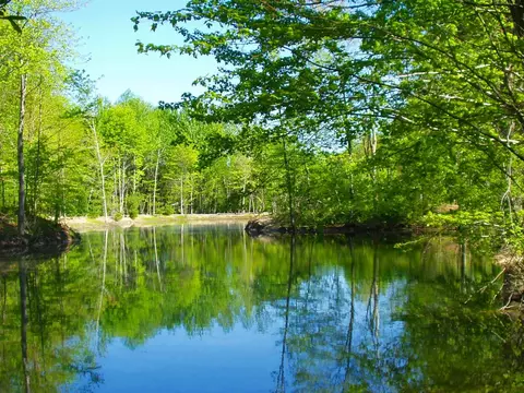 View/Area - 14205 Wildwood, Harbert, MI 49115 photo 2 of 3