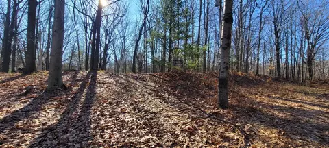 9463 W Wild Ridge Lot 141 142, Mears, MI 49436 photo 2