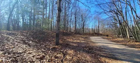 9463 W Wild Ridge Lot 141 142, Mears, MI 49436