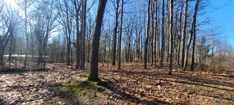 9463 W Wild Ridge Lot 141 142, Mears, MI 49436 photo 5