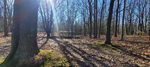 9463 W Wild Ridge Lot 141 142, Mears, MI 49436 photo 4