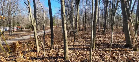 0 W Wildridge, Mears, MI 49436