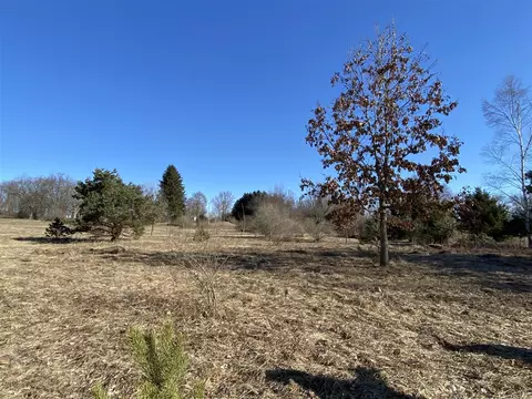Pine, Edmore, MI 48829