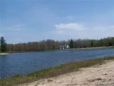 6609 Donegal, Canadian Lakes, MI 49346