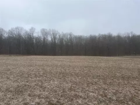 V/l 133rd Parcel A, Wayland, MI 49348