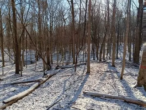 View/Area - 10155 Teasdale Lk, Constantine, MI 49042 photo 7 of 10