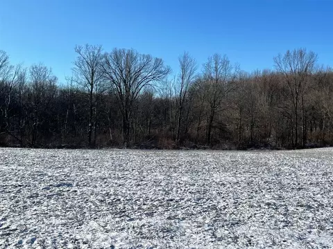 View/Area - 10155 Teasdale Lk, Constantine, MI 49042 photo 10 of 10