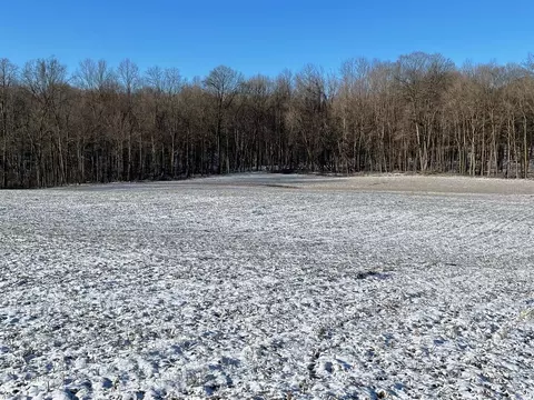 Exterior - 10155 Teasdale Lk, Constantine, MI 49042 photo 8 of 8