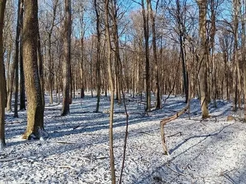 View/Area - 10155 Teasdale Lk, Constantine, MI 49042 photo 9 of 10