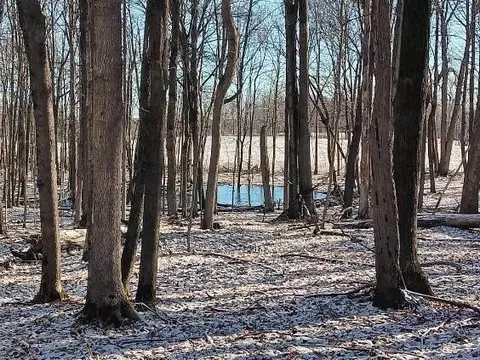 View/Area - 10155 Teasdale Lk, Constantine, MI 49042 photo 2 of 10