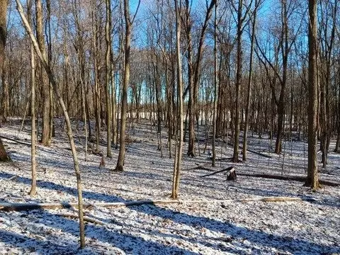 View/Area - 10155 Teasdale Lk, Constantine, MI 49042 photo 8 of 10