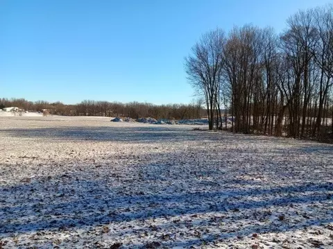 Exterior - 10155 Teasdale Lk, Constantine, MI 49042 photo 7 of 8
