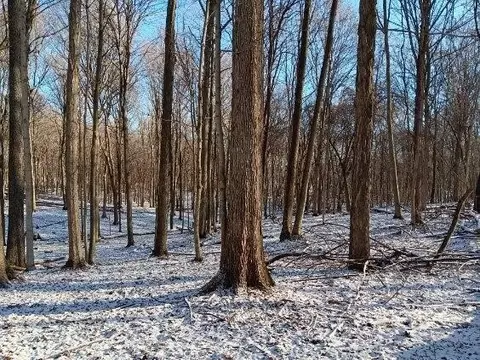 View/Area - 10155 Teasdale Lk, Constantine, MI 49042 photo 6 of 10