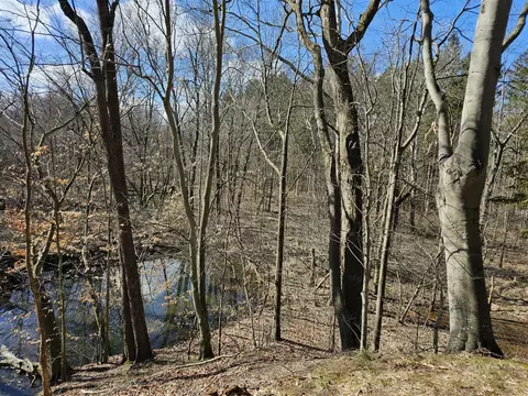 60 12, Bangor, MI 49013