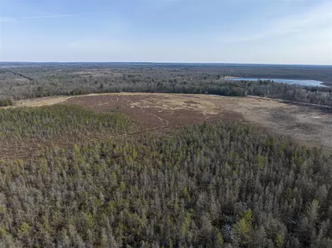 View/Area - 913 E Pierce #PARCEL B & C, White Cloud, MI 49349 photo 14 of 14