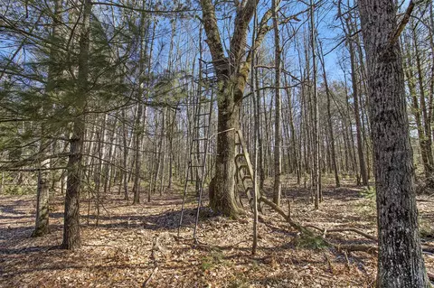 View/Area - 913 E Pierce #PARCEL B & C, White Cloud, MI 49349 photo 3 of 14