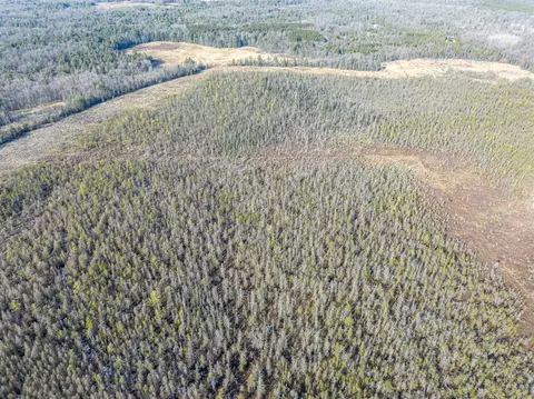 View/Area - 913 E Pierce #PARCEL B & C, White Cloud, MI 49349 photo 12 of 14
