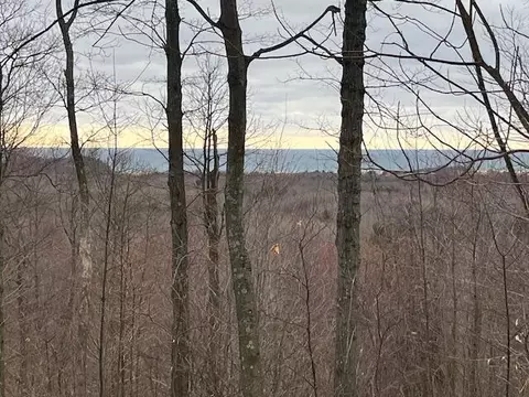 silver vista LOT 2, Mears, MI 49436