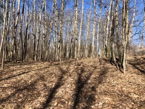 11962 Huron, Canadian Lakes, MI 49346