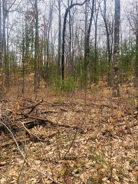 222 S S Pne, White Cloud, MI 49349 photo 21