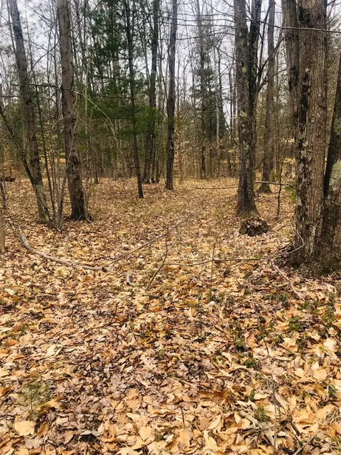222 S S Pne, White Cloud, MI 49349 photo 22