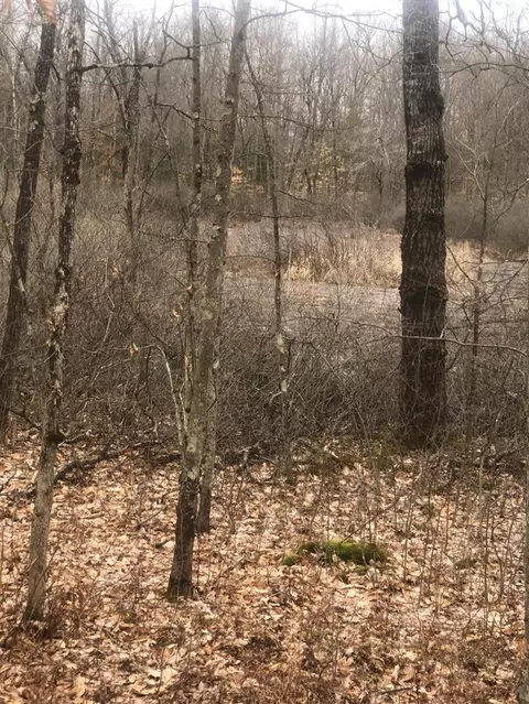 222 S S Pne, White Cloud, MI 49349 photo 13